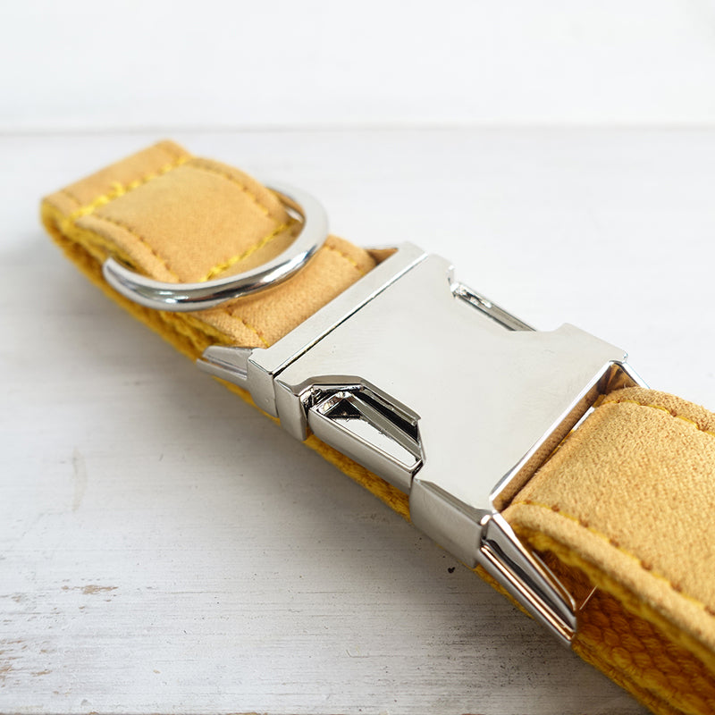 Adjustable Dog Collar – Durable Pet Neck Strap