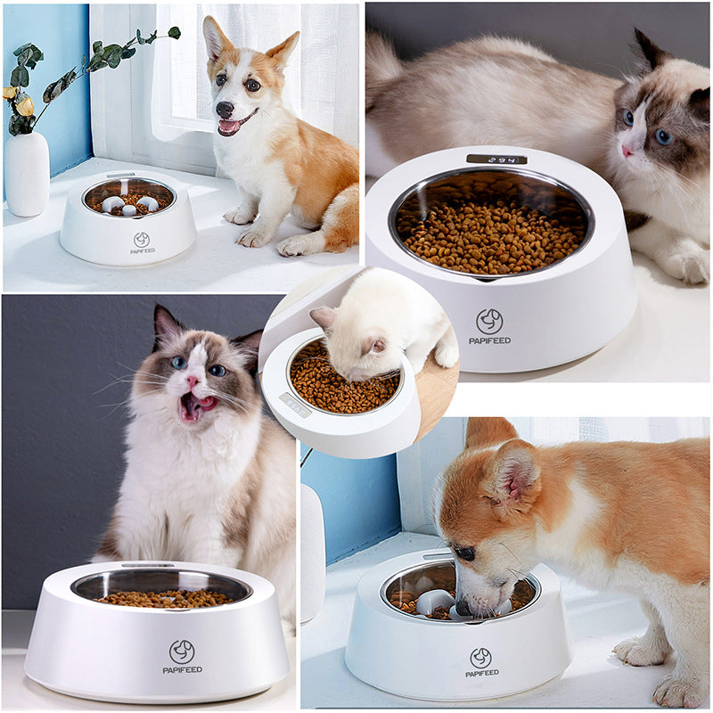 Healthy Slow Feeder Pet Bowl