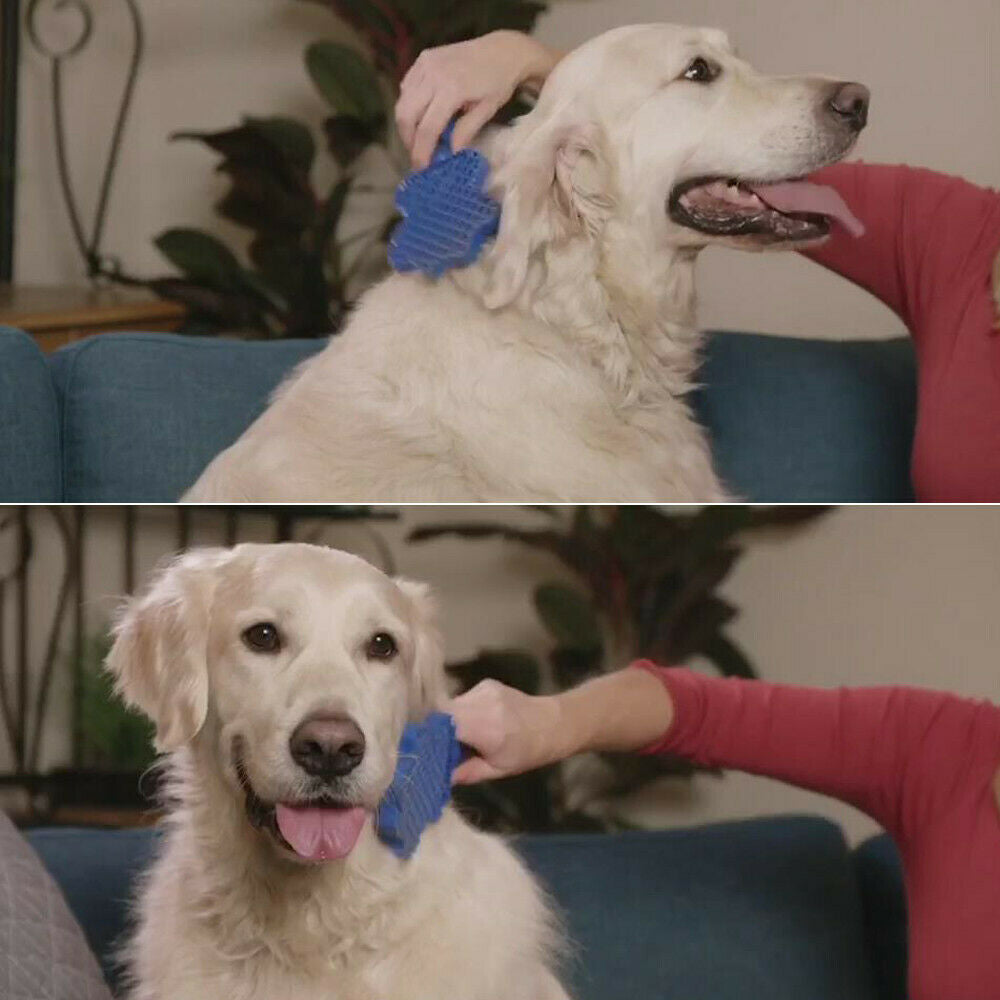 Pet Hair Remover Brush – Gentle Grooming Tool