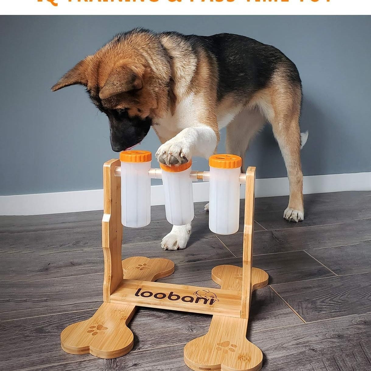 Interactive Wooden Puzzle Toy – Dog Treat Dispenser
